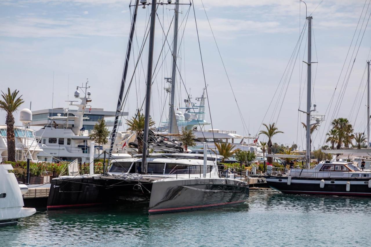 瓦伦西亚Travel Habitat La Marina Real公寓 外观 照片